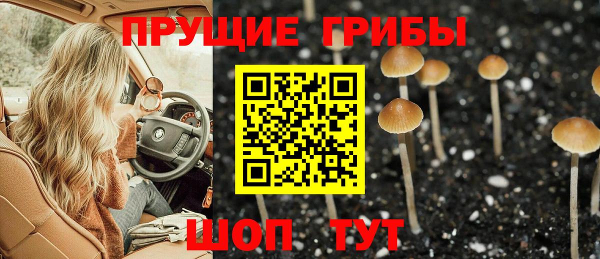 Галлюциногенные грибы Cubensis Кисловодск