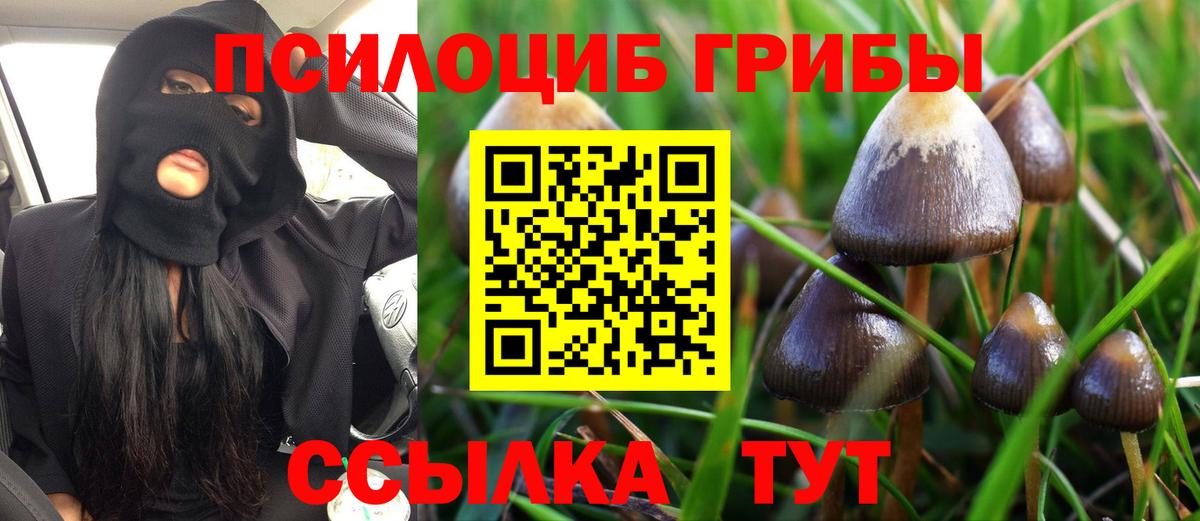 Цена  Меф МЯУ МЯУ кристаллы  Кисловодск  Вход с VPN  ГАШ  Бошки Шишки  Мефедрон  ГАШ  LSD-25 